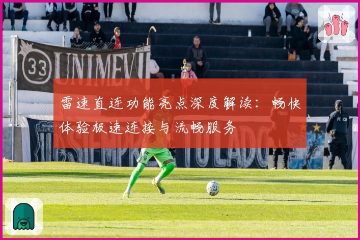 雷速直连功能亮点深度解读：畅快体验极速连接与流畅服务