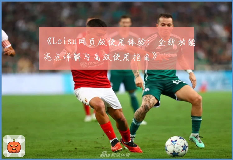 《Leisu网页版使用体验：全新功能亮点详解与高效使用指南》