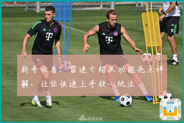 新手必看:雷速介绍及功能亮点详解,让你快速上手核心玩法